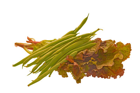 spring salad isolated on white background