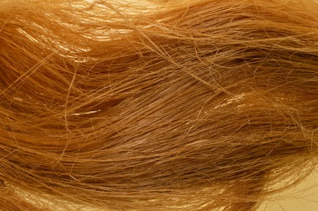 tow isolated on white backgroundの写真素材