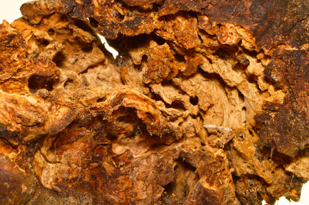 firewood isolated on white backgroundの写真素材