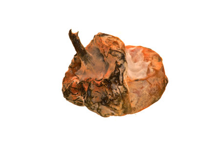 bell pepper isolated on white backgroundの写真素材