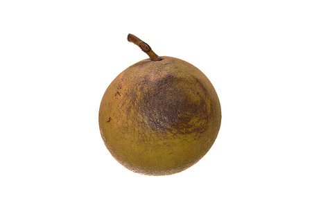 wild walnut isolated on white backgroundの写真素材