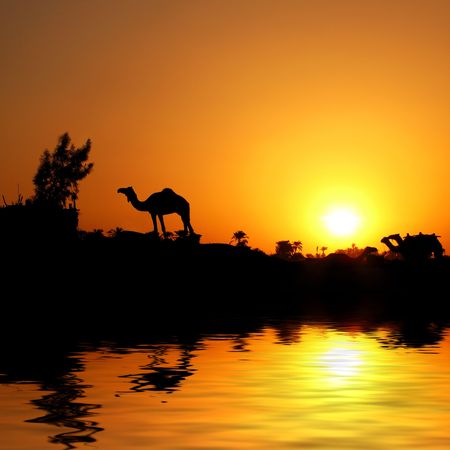 This photo was taken during my trip to Luxor (Egypt) in 2007. Photo was done during the boat voyage on the Nile.の写真素材