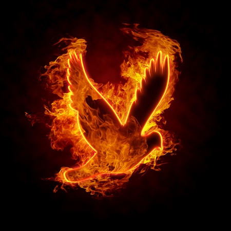 Burning bird silhouette on black backgroundの写真素材