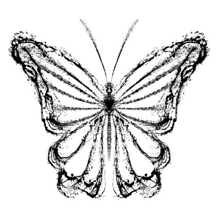 Abstract butterfly. Grunge splash draw paintの写真素材