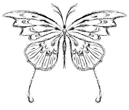 Abstract butterfly. Grunge splash draw paintの写真素材