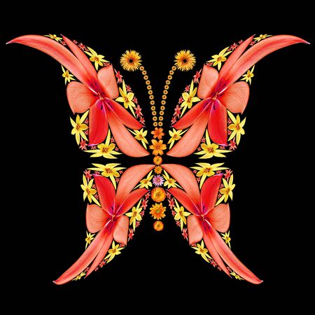 Butterfly silhouette made from flowersの写真素材