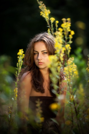 Soft portrait of a young woman on flowers field blured backgroundの写真素材