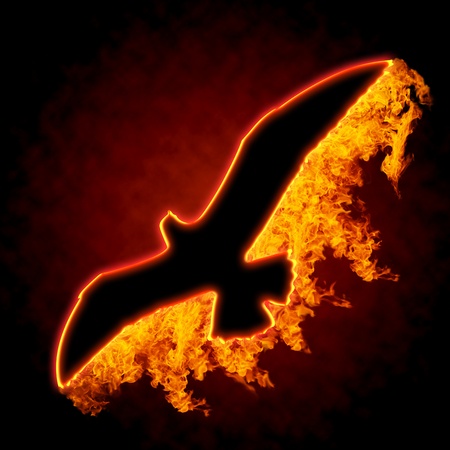 Burning bird silhouette on black backgroundの写真素材