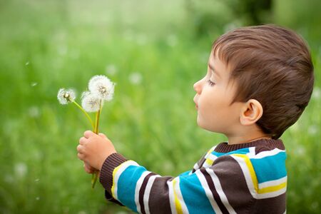 Kid blowing dandelion outdoor on greenの写真素材