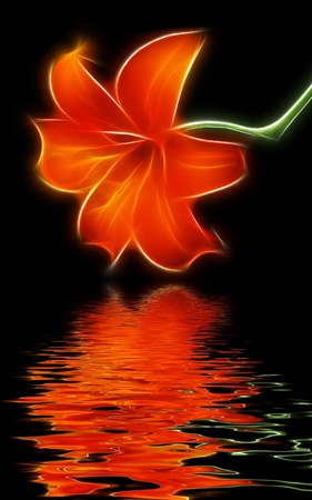 red lilie and water reflectionの写真素材
