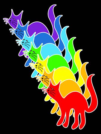 Rainbow cats isolated on blackの写真素材