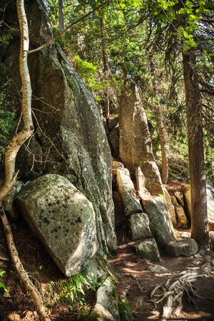 Stones on a mountain trail in the High Tatras. Slovakia. Europe.の写真素材