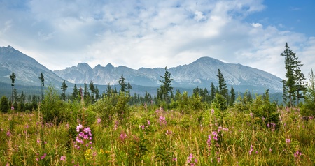 Mountains in National Park High Tatra. Slovakia, Europe. Focus om mountinsの写真素材