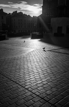 Abstract background of cobble stone road. Early morning shadows in old Krakowの写真素材