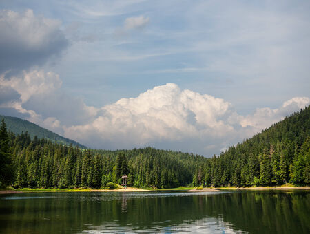 Sinevir lake. Volcanic lake in the Carpathian Mountains. Ukraine, Europeの写真素材