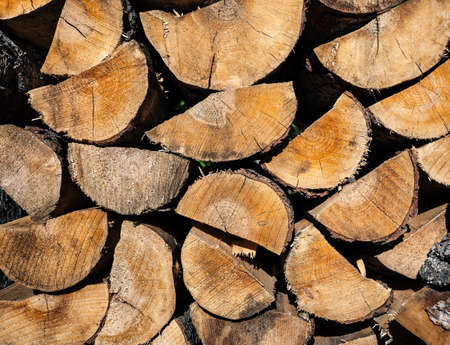 Pile of wood logs ready for winter