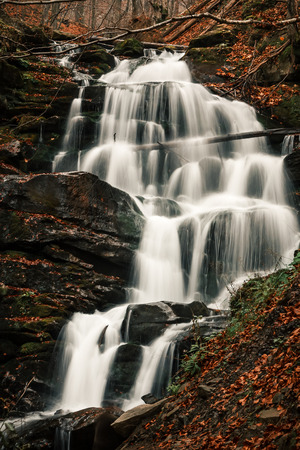 Waterfall and forest stream in the Carpathian mountains. Ukraine. Europe