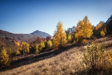 Sunny autumn day in the Carpathian Mountains, Ukraineの写真素材