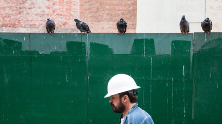 NEW YORK, USA - May 02, 2016: Manhattan street scene. Worker in a protective helmet and pigeons sitting on a green fence. Focus on pigeonsのeditorial素材