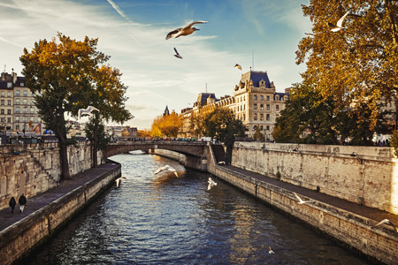 PARIS, FRANCE - Nov 10, 2017: Birds fly over the river Seine in Paris. View from the bridge Pont au Doubleのeditorial素材