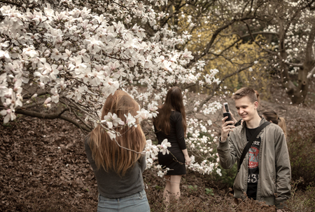 KYIV, UKRAINE - Apr 17, 2018: People enjoy magnolia blossoms. People photograph and making selfies in blossoming magnolia garden. Blossoming magnolia trees attract thousands of visitors every springのeditorial素材