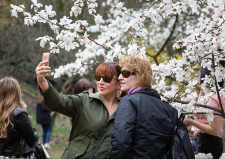 KYIV, UKRAINE - Apr 17, 2018: People enjoy magnolia blossoms. People photograph and making selfies in blossoming magnolia garden. Blossoming magnolia trees attract thousands of visitors every springのeditorial素材