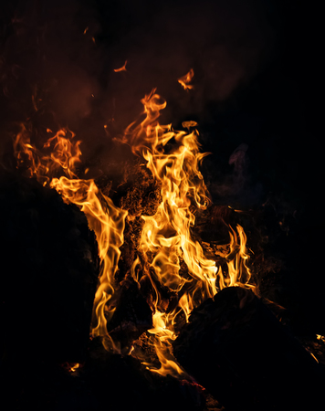 Flames of a bonfire in the night. Fire flames on a black background