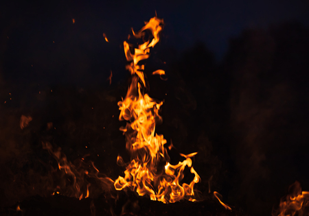 Fire, bonfire, campfire. Flames of bonfire at night. Fire flames on a black backgroundの写真素材