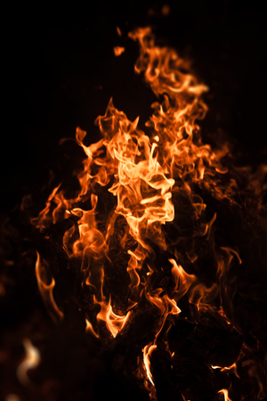 Fire, bonfire, campfire. Flames of bonfire at night. Fire flames on a black backgroundの写真素材