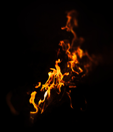 Fire, bonfire, campfire. Flames of bonfire at night. Fire flames on a black backgroundの写真素材