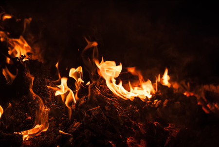 Fire, bonfire, campfire. Flames of bonfire at night. Fire flames on a black backgroundの写真素材