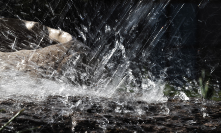 Wet stone and decorative antique urn in the rain. Rain water drop falling to the stone. Water is flowing and splashing around them.の写真素材