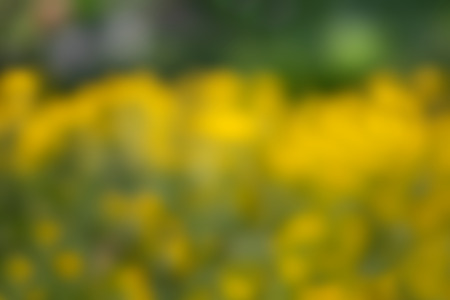Natural background. Abstract blurred image of a spring garden with defocused spots of flowers in the rays of sunlight. Bokeh background. Element of designの写真素材