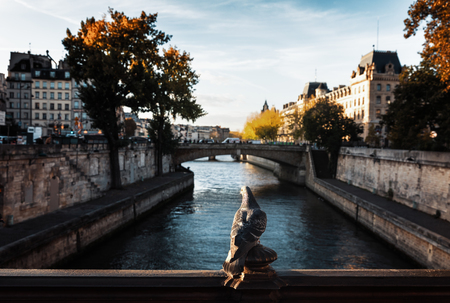 PARIS, FRANCE - Nov 10, 2017: Birds sitting on the bridge over the river Seine in Paris. View from the bridge Pont au Doubleのeditorial素材
