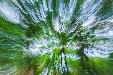 Abstract nature background. Green trees in motion blur styleの写真素材
