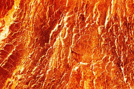 Abstract texture background. Old tree bark in orange colorの写真素材
