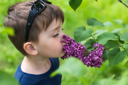 Three year old boy near blooming lilacsの写真素材
