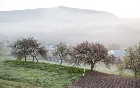 Spring morning in a mountain village. Foggy morning and flowering trees