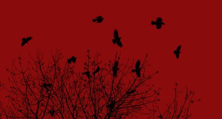 Silhouette of a crow on a tree. Ravens flock silhouette flying and sitting on trees. Red toned imageの写真素材