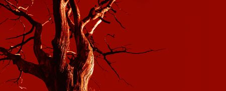 Hot day in hell. Dead branches of a tree. Old and completely dry tree against red sky. Dead Tree without leaf.の写真素材
