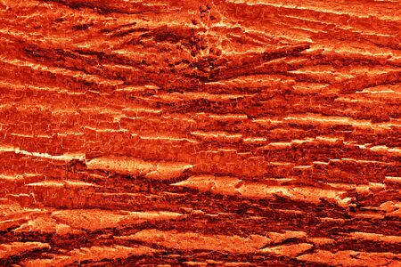 Abstract natural background. Tree bark texture in red colorsの写真素材