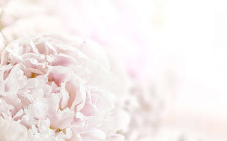 Floral background. Close up bouquet of beautiful flowers with copy spaceの写真素材