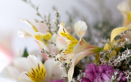 Floral background. Close up fragment of a bouquet of beautiful flowersの写真素材