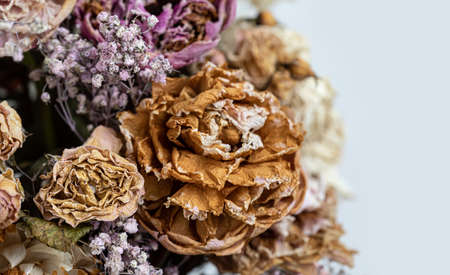 Dry bouquet. Close-up image of dried flowers in a bouquet. Life and death concept. Withered flower backgroundの写真素材