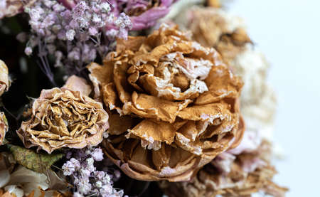 Dry bouquet. Close-up image of dried flowers in a bouquet. Life and death concept. Withered flower backgroundの写真素材