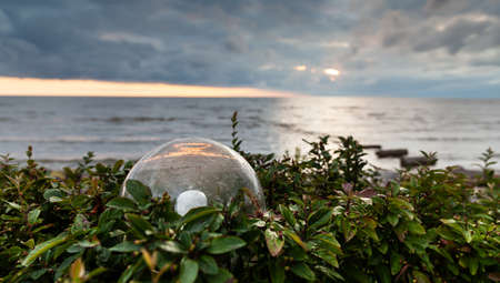 Decorative bushes with a lamp in a glass sphere against the sea with clouds