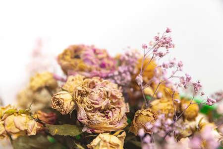 Dry bouquet. Close-up image of dried flowers in a bouquet. Life and death concept. Withered flower backgroundの写真素材