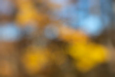 Blurred bright autumn background. Abstract texture of autumn forest backgroundの写真素材