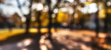 Abstract blurred background. Defocused image of an autumn park with trees, foliage and paths with fallen leavesの写真素材