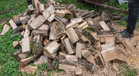 Natural wooden background - closeup of chopped firewood. Stacks of Firewood. Preparation of firewood...